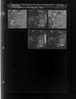 H-H Poultry Chain (5 Negatives), February 11-12, 1963 [Sleeve 31, Folder b, Box 29]